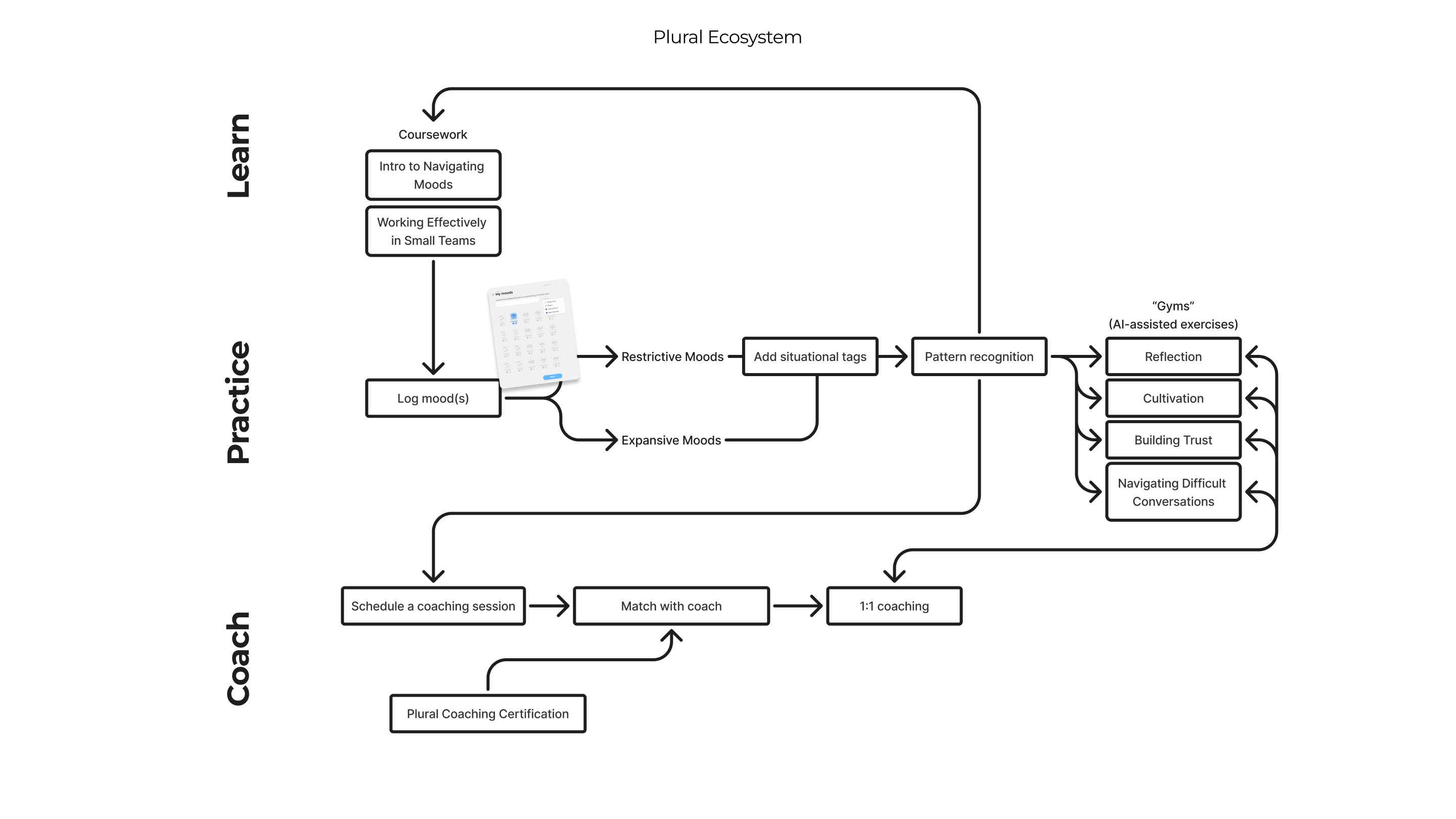 Initial diagram of the Plural ecosystem